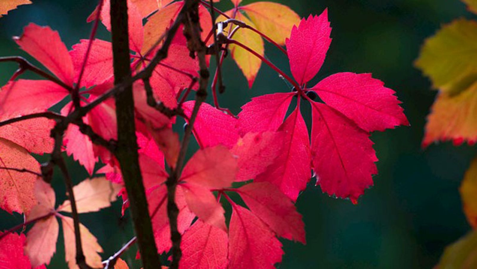 El tiempo en la Comunidad de Madrid - 01/10/14