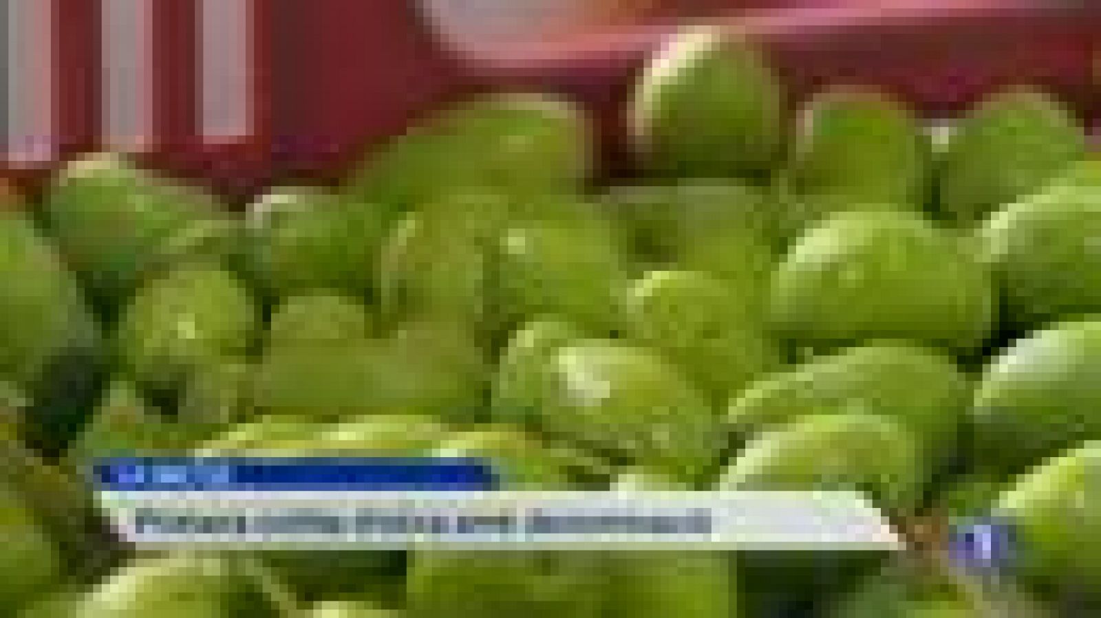 Informatiu Balear en 2' - 01/10/14 | Ver