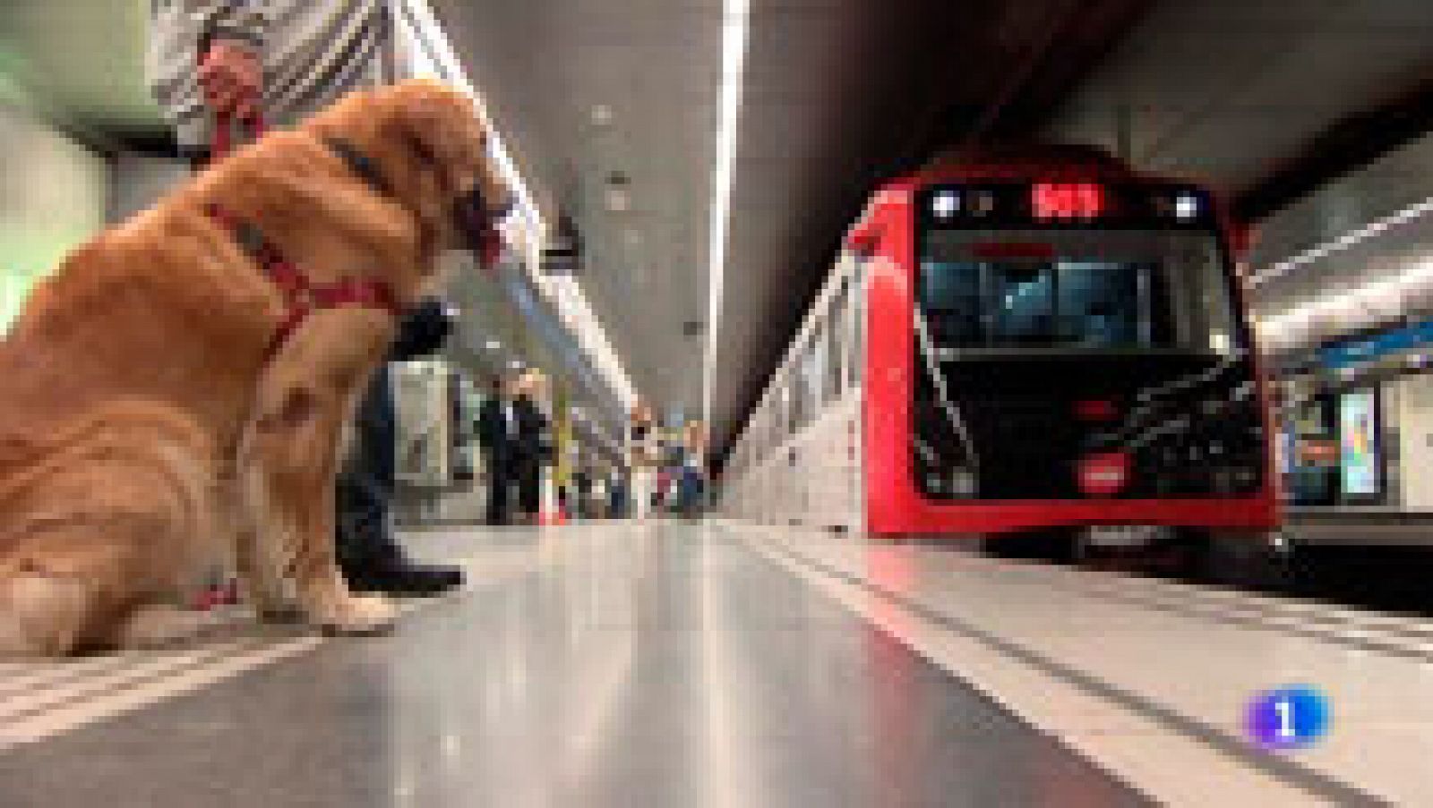 L'Informatiu: Els gossos ja poden pujar al metro | RTVE Play