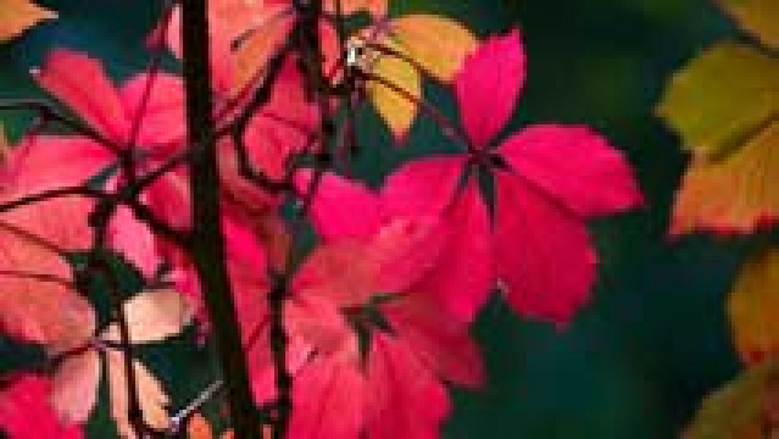 Viento fuerte en el Estrecho y litoral de Andalucía oriental