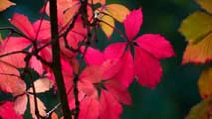 El tiempo - Viento fuerte en el Estrecho