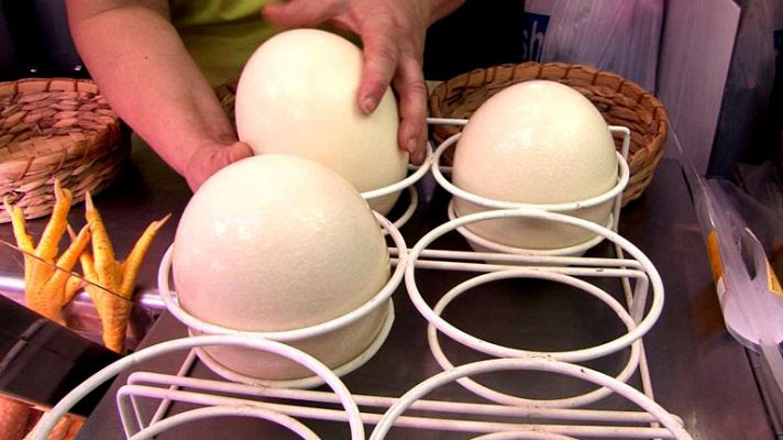 Comando Actualidad - Criando avestruces