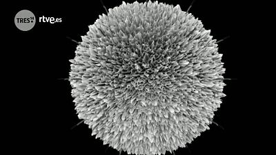 Nanopartículas en medicina