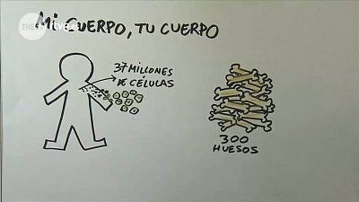 Tu cuerpo, mi cuerpo