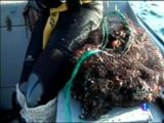 Panorama Regional - Panorama Regional 2 - 02/10/14