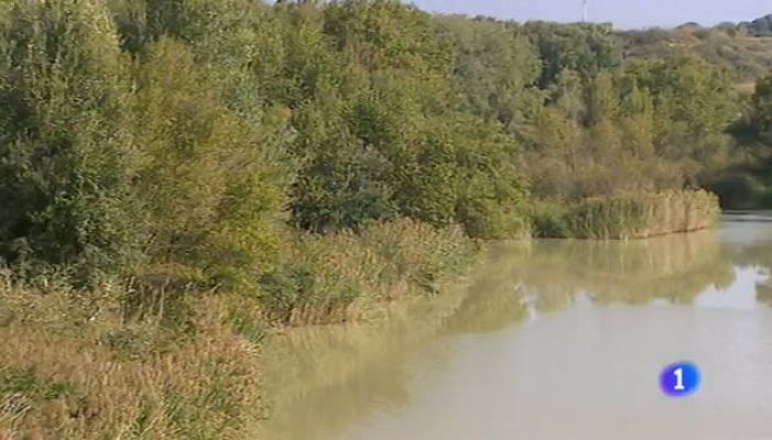 Noticias Aragón - Noticias Aragón 2-3/10/14