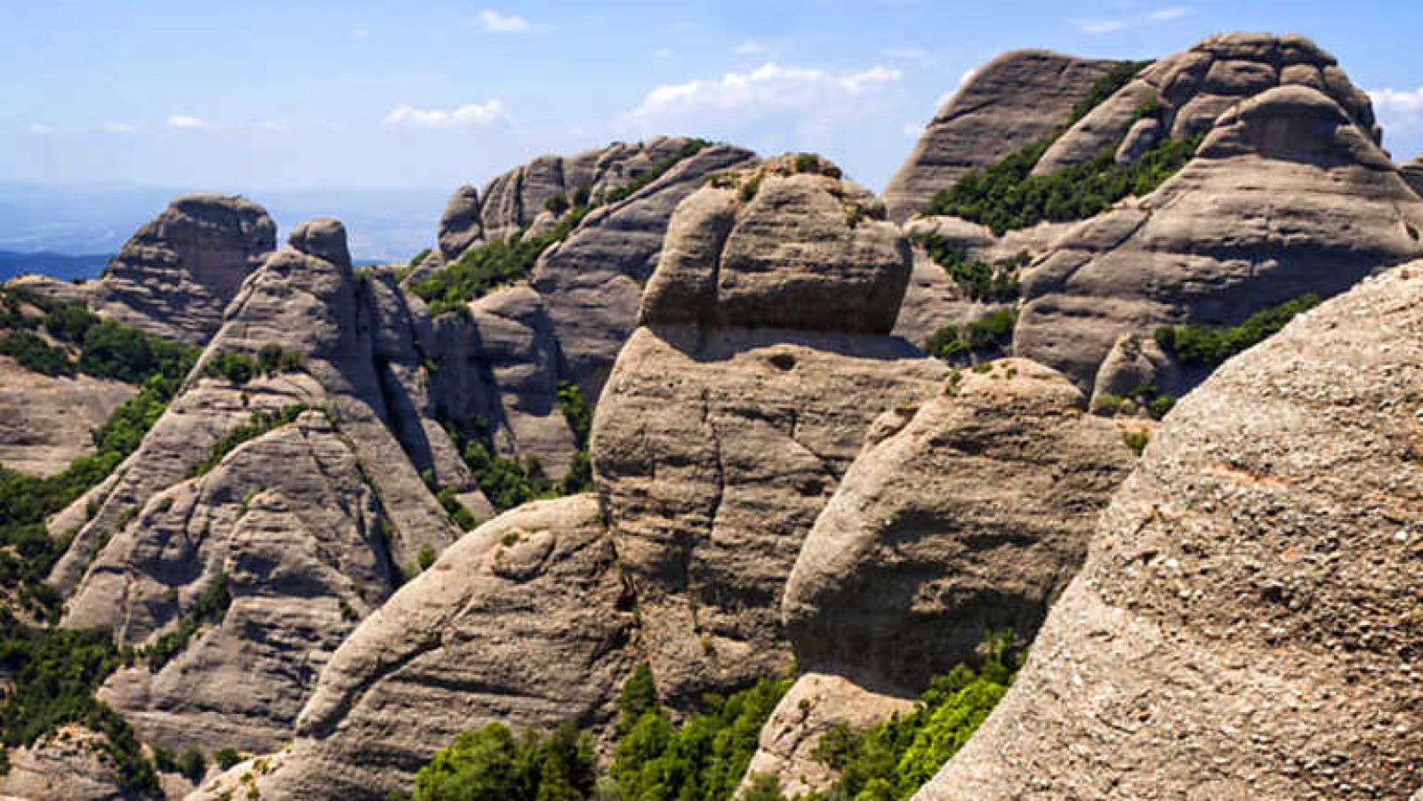 El escarabajo verde - Clavos y agujas - Ver ahora