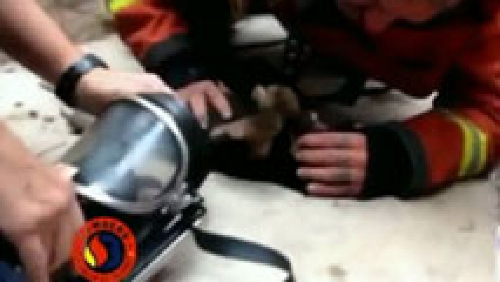 Telediario 1: Boca-hocico de un bombero a un cachorro  | RTVE Play