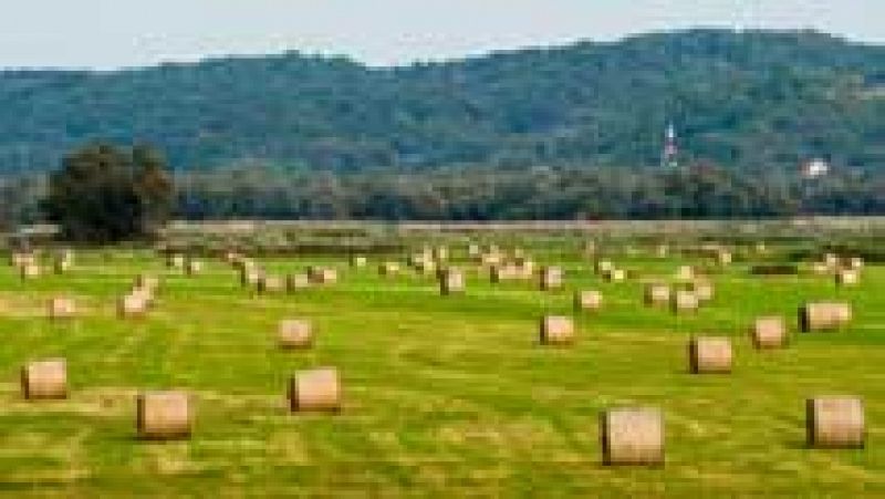 Nuboso con lluvias moderadas en Galicia, Cantábrico y Alto Ebro 