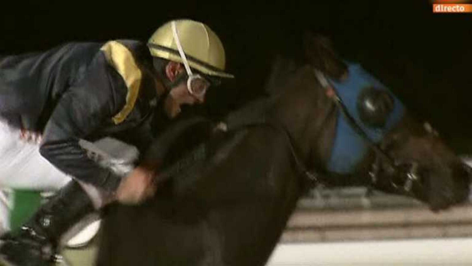 Turf - 03/10/14 - Ver ahora