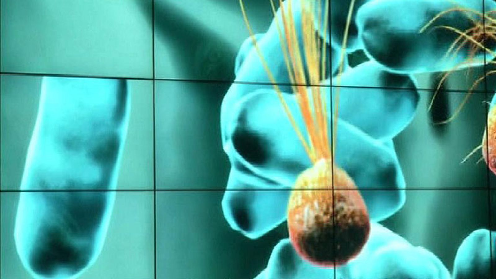 El zoo de Amsterdam estrena Micropia, un museo de microbios