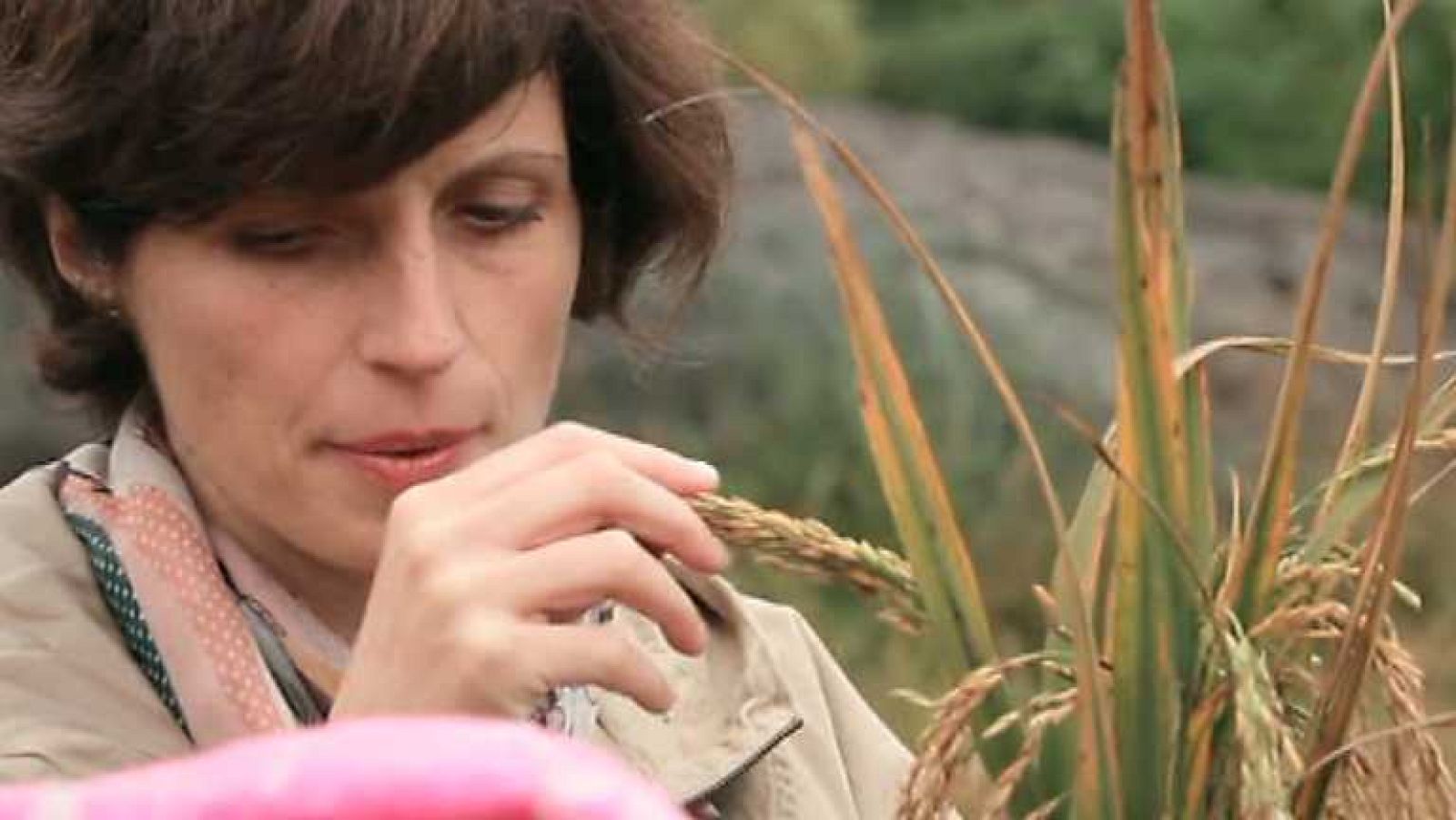 Con mis ojos - Guilin (China) - Ver ahora