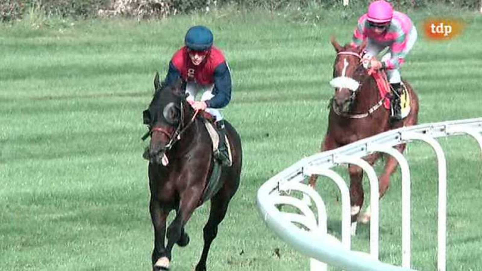 Turf - 05/10/14 - Ver ahora