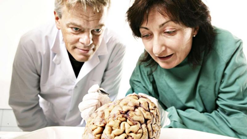  El descubrimiento del 'GPS interno del cerebro' consigue el Nobel de Medicina 2014