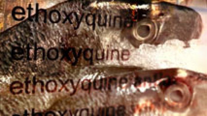 Documentos TV - Pescado ¿No tan sano? - Avance