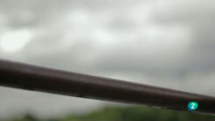 La aventura del Saber - Parkour, arte del desplazamiento