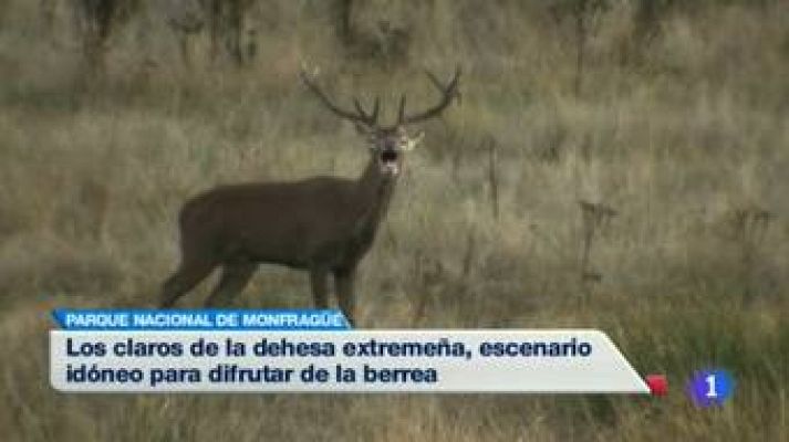 Noticias de Extremadura - 07/10/14