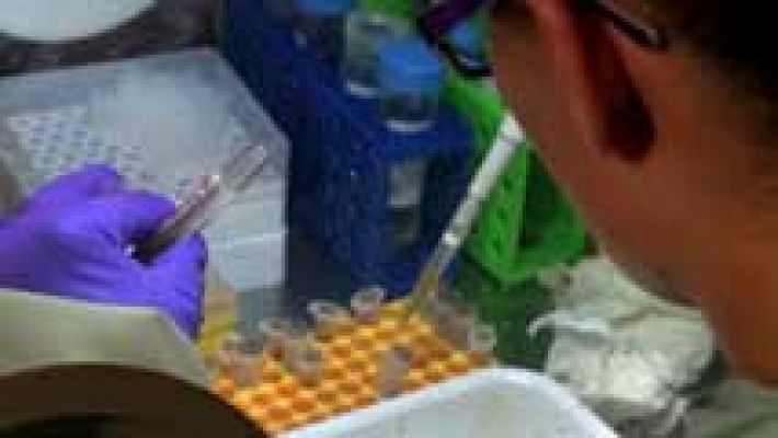 Posibles tratamientos al ébola