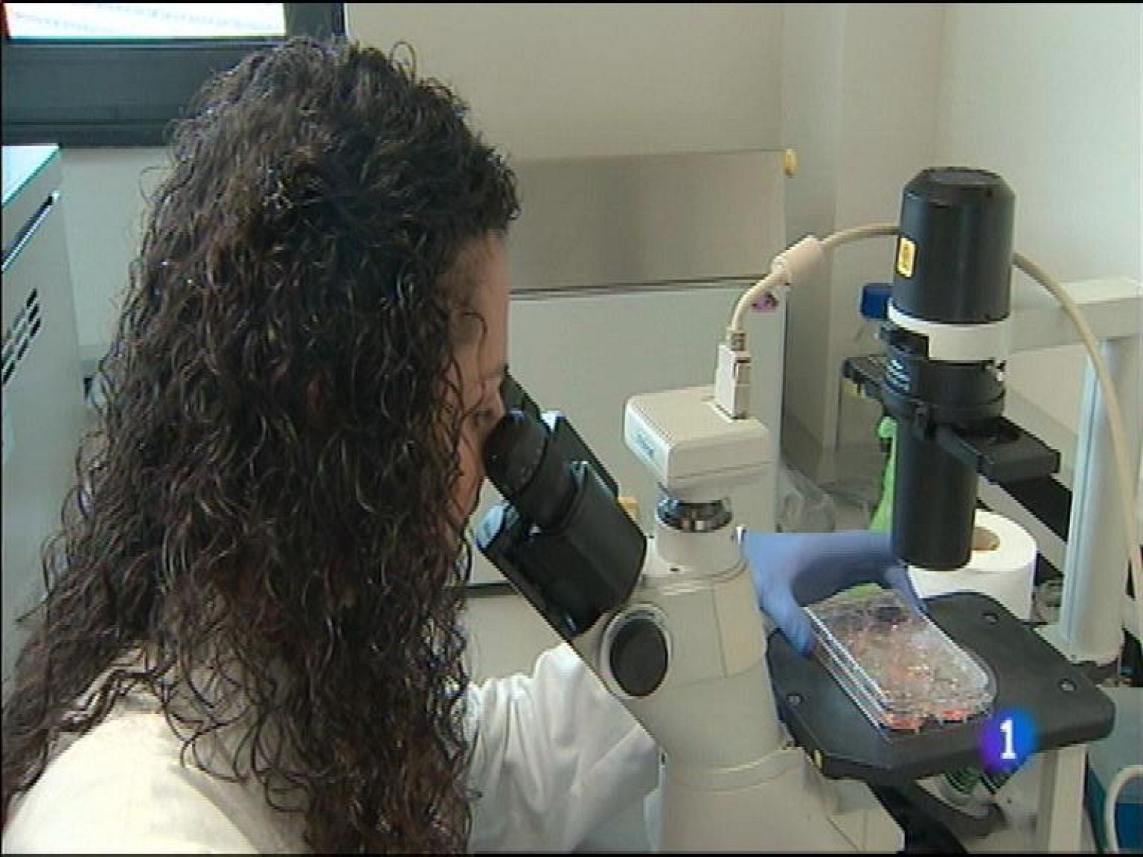 Panorama Regional - 07/10/14 | Ver