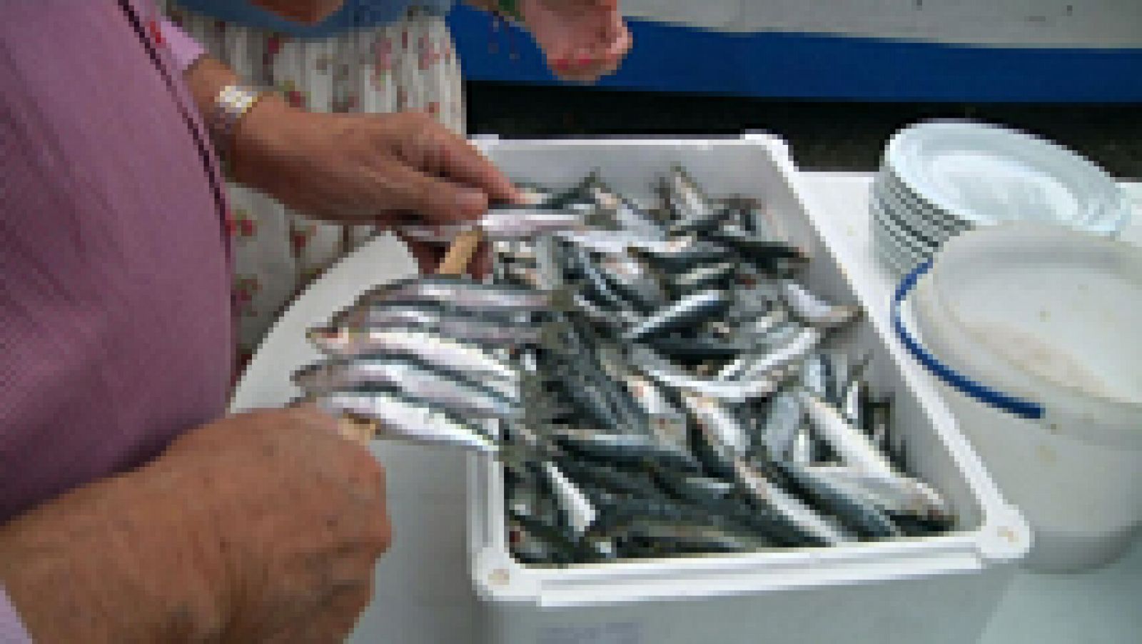 Al rico espeto de sardinas malagueñas