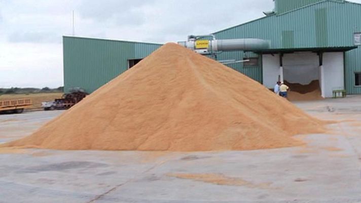 Aquí la Tierra - Arroz del bueno en la Albufera