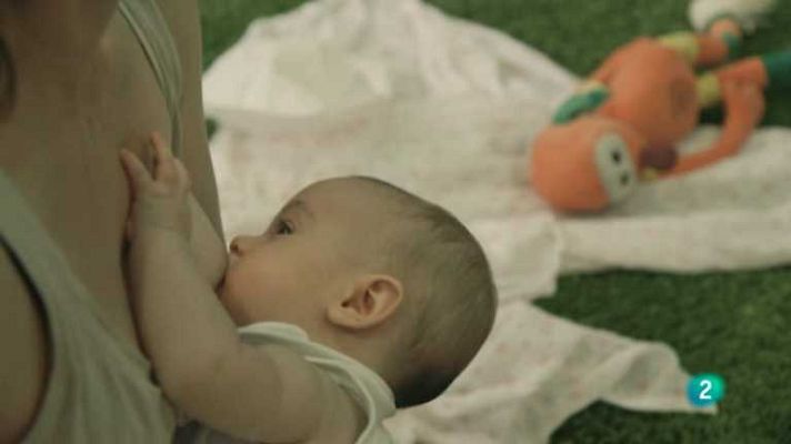 La aventura del Saber - La aventura del saber - 08/10/14