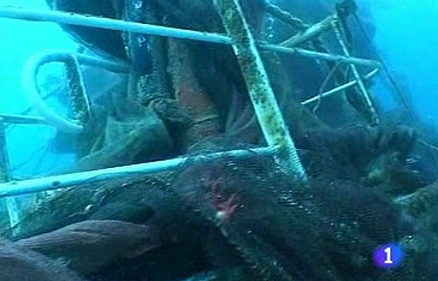  - Un año del 'Nuevo Pepita'