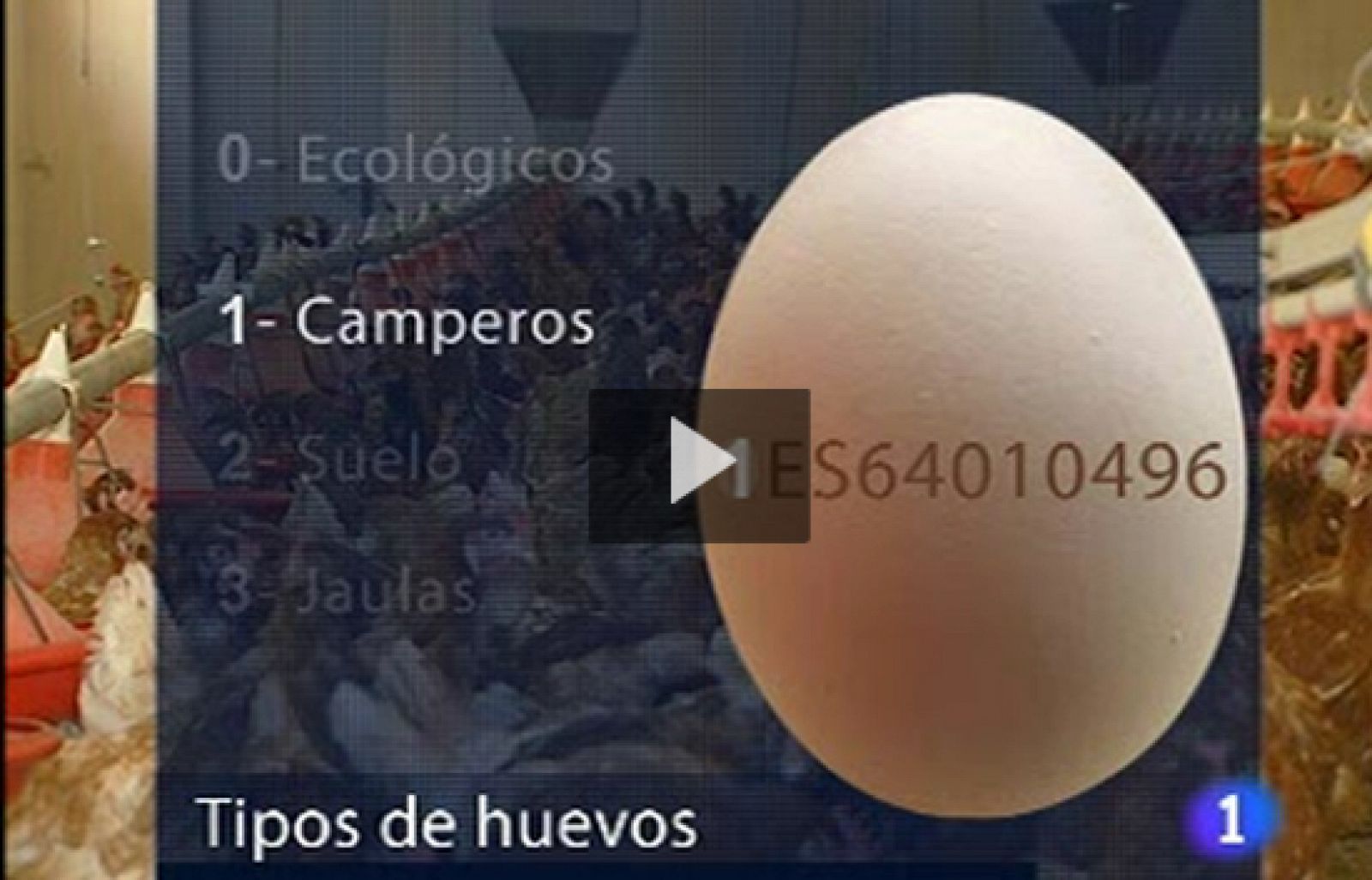 Un número identifica la procedencia de los huevos que consumimos