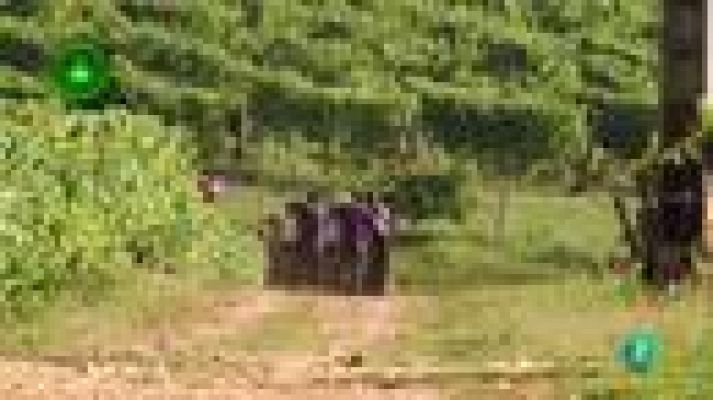 Agrosfera - Terras Gauda