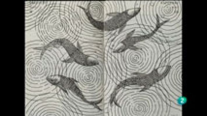 La aventura del Saber - La Aventura del Saber. Boek Visual. Pep Carrió