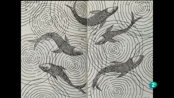 La aventura del Saber - La Aventura del Saber. Boek Visual. Pep Carrió