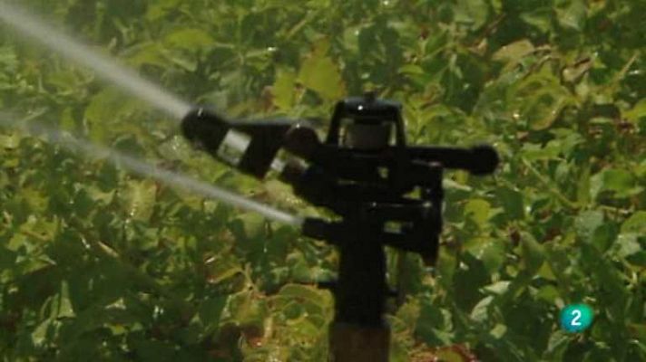 Agrosfera - Agrosfera - 11/10/14