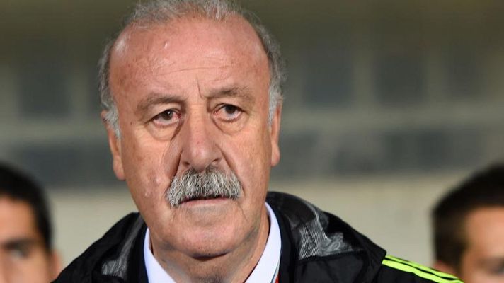 Eurocopa en juego - Del Bosque: "Estamos haciendo una transición dulce"