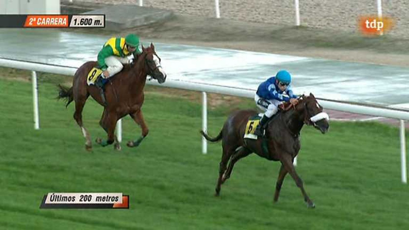 Turf - 12/10/14 - Ver ahora