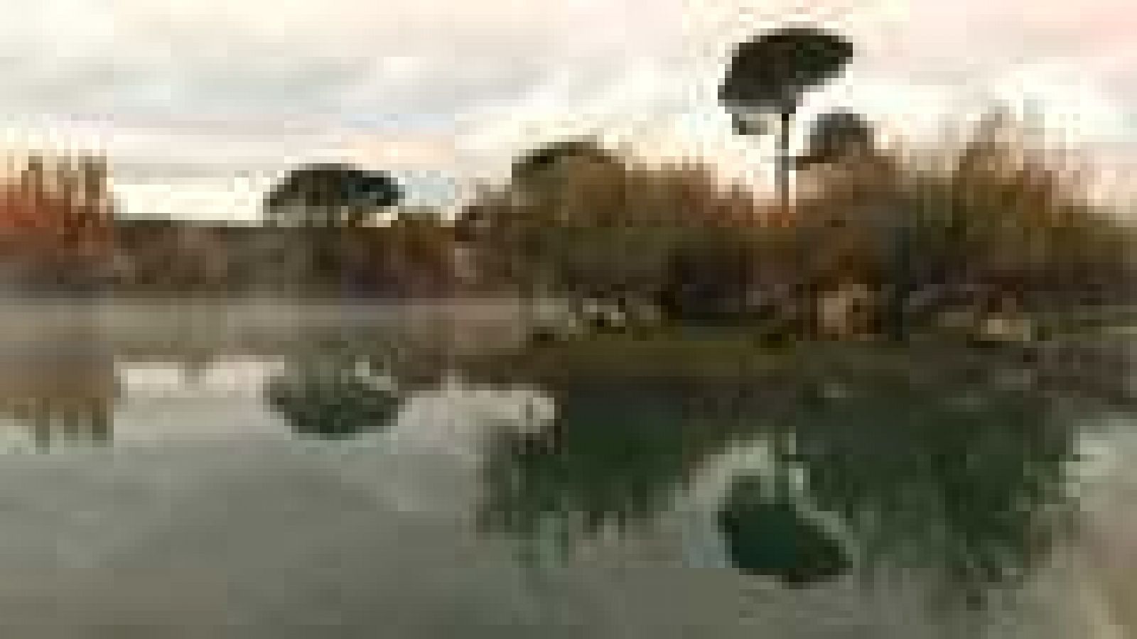 La aventura del saber - 13/10/14 - Ver ahora