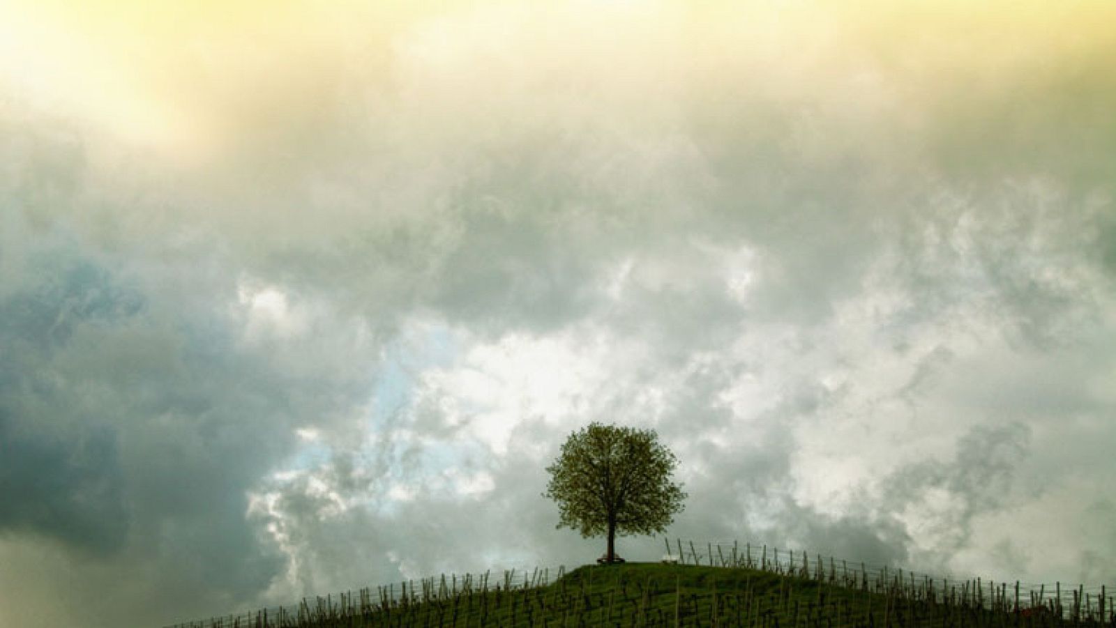 El Tiempo en la Comunidad de Madrid - 14/10/14