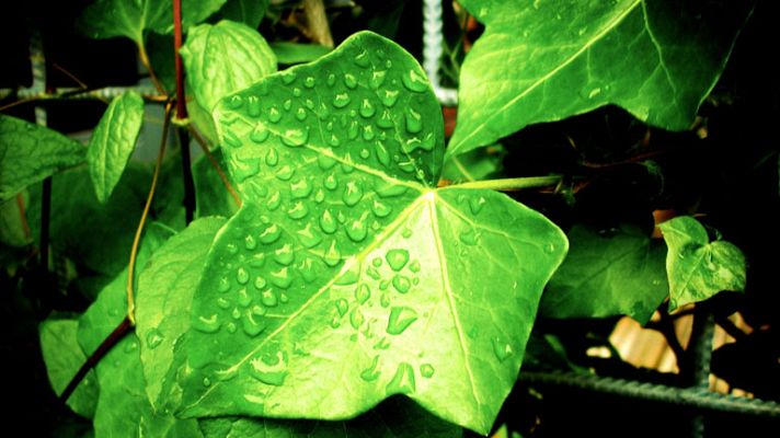 El tiempo - Lluvia persistente en Galicia, parte de Castilla y León y Extremadura