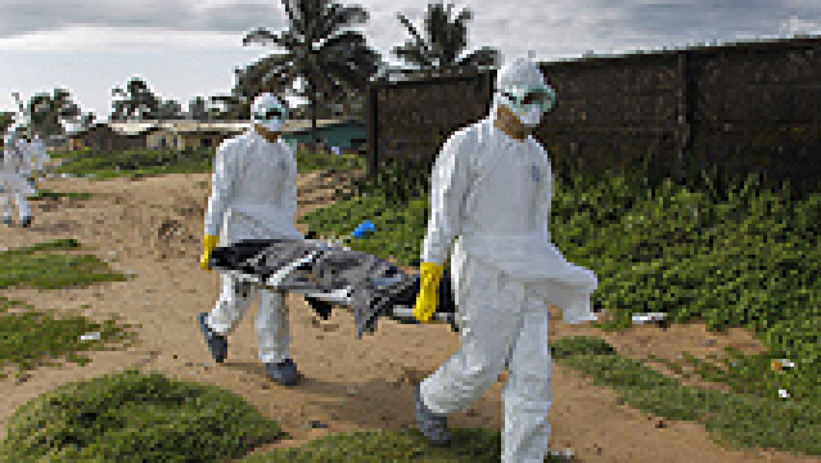 Telediario 1: El ébola se expande en las capitales de los tres países más afectados y deja casi 9.000 casos | RTVE Play
