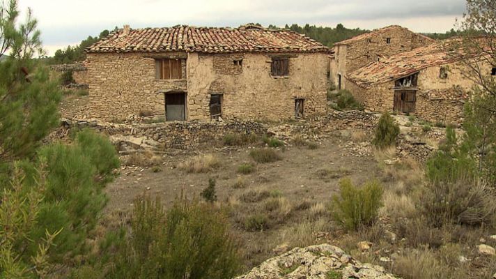 Esta casa es un tesoro - Avance