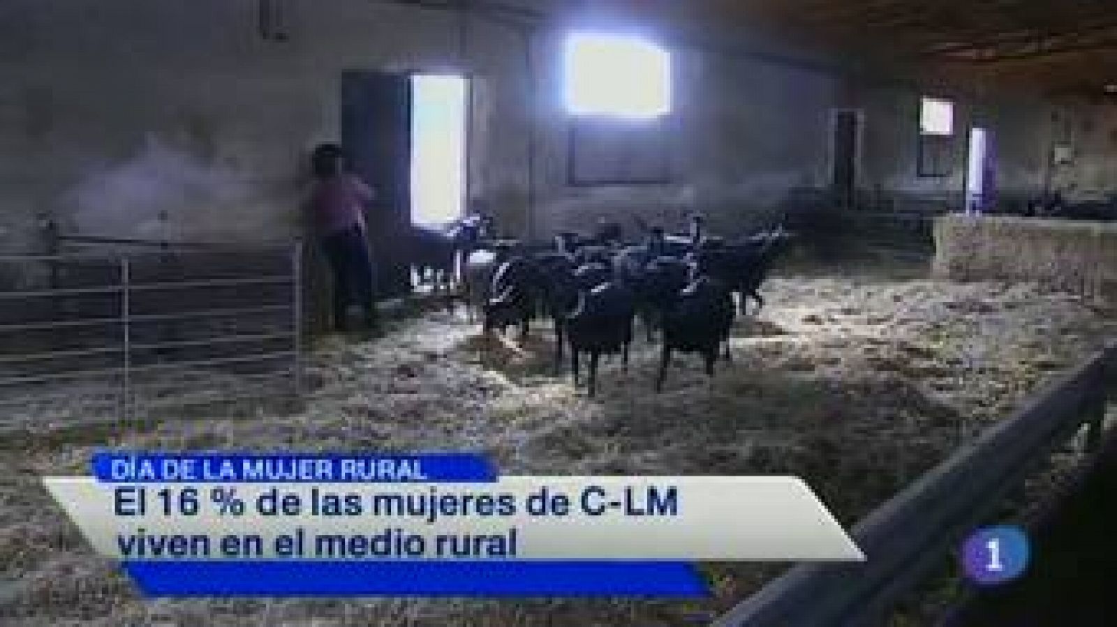 Noticias de Castilla-La Mancha: Noticias de Castilla-La Mancha - 15/10/14 | RTVE Play