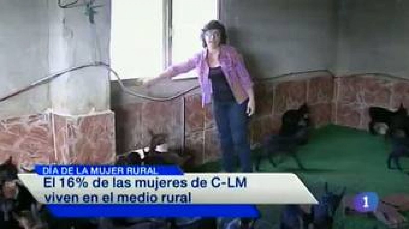 Noticias de Castilla-La Mancha 2 - 15/10/14 | Ver