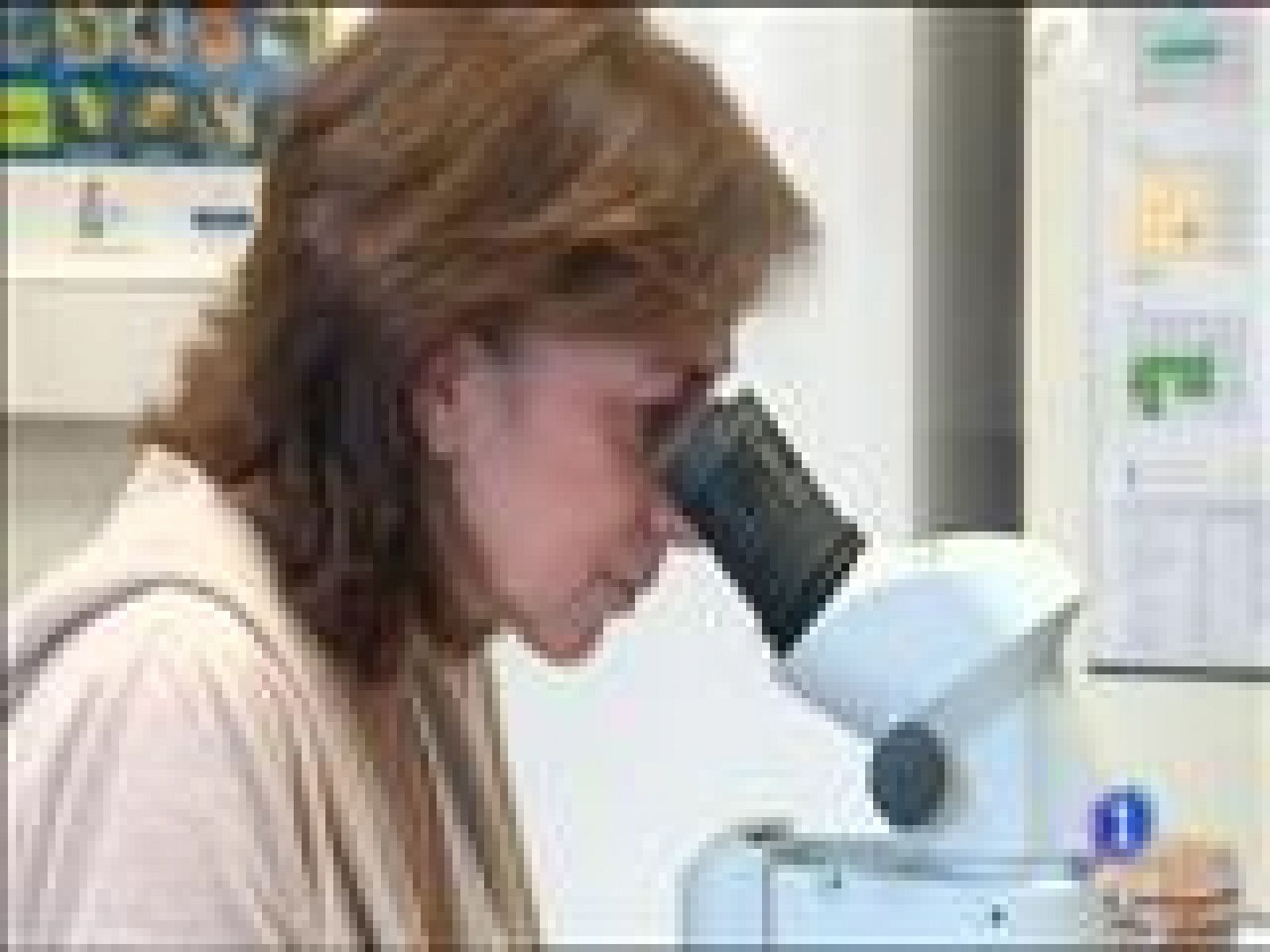 Panorama Regional 2 - 15/10/2014 | Ver