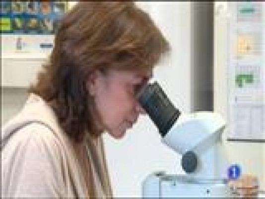 Panorama Regional - Panorama Regional 2 - 15/10/2014