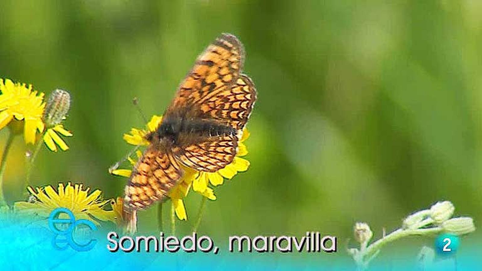 España en Comunidad - 23/08/14 - ver ahora