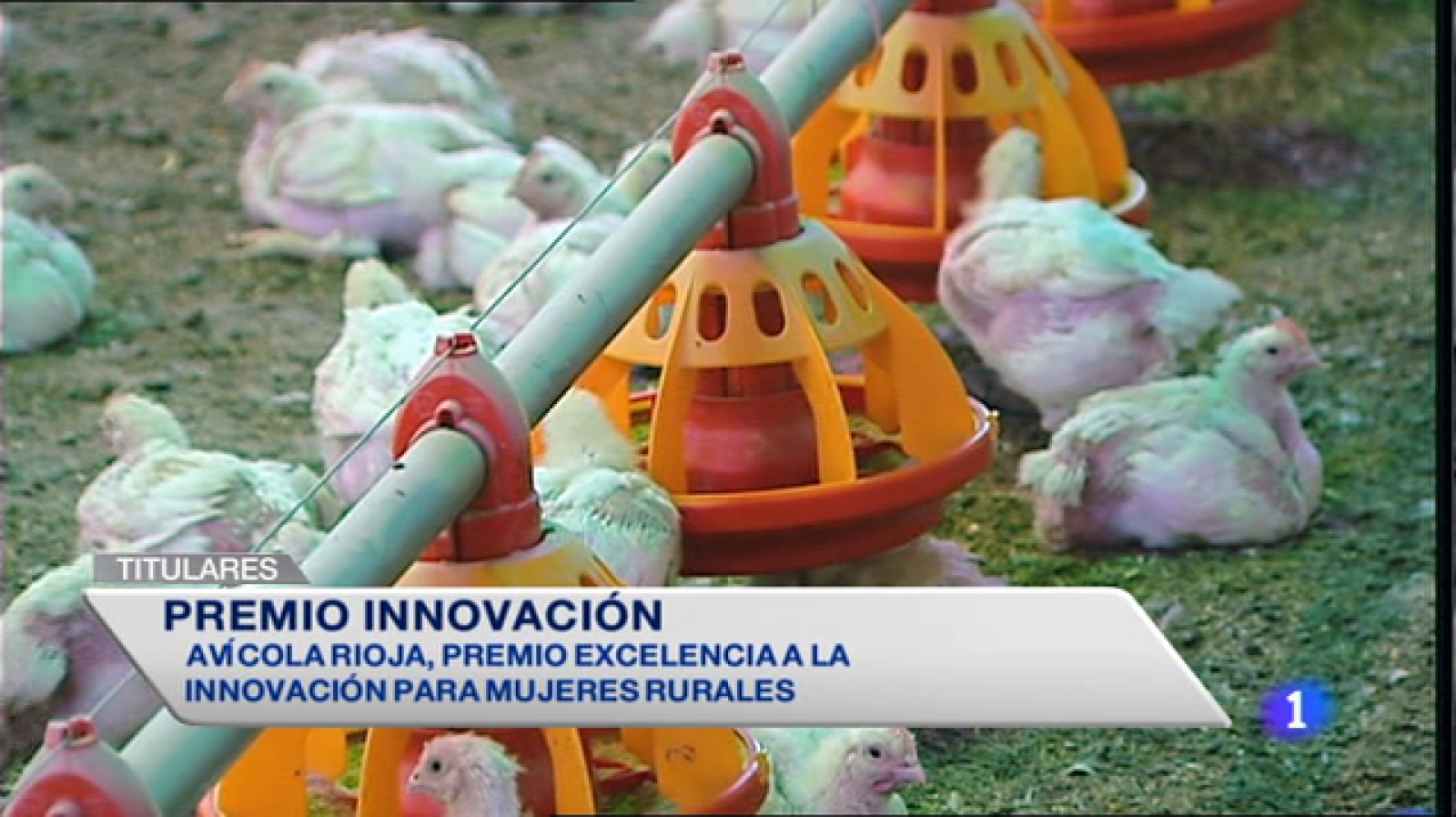 Informativo Telerioja 2 - 15/10/14