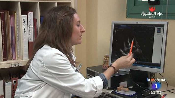 La mañana - 2ª parte - 16/10/14