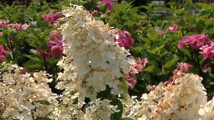 España en comunidad - España en Comunidad - 18/10/4