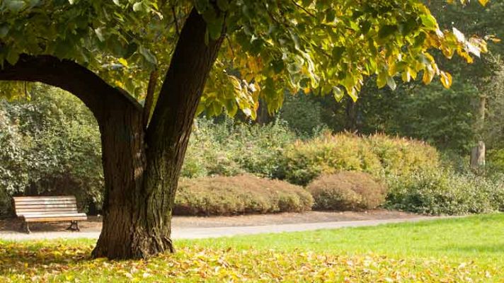 El tiempo - Cielos poco nubosos en la península excepto en Galicia