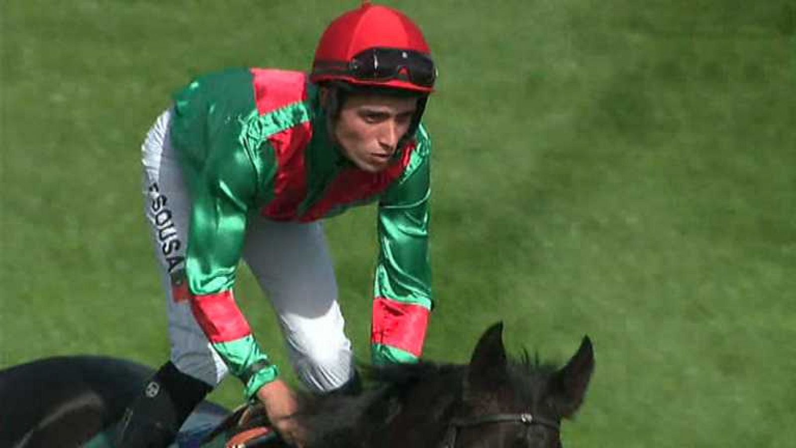 Turf - 19/10/14 - ver ahora