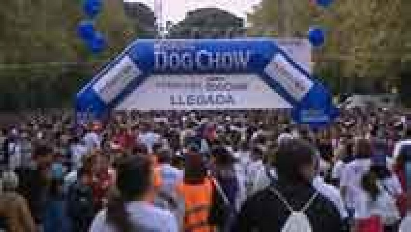 Informativo de Madrid 2 - 20/10/14